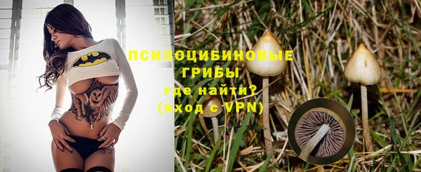 мет Белокуриха