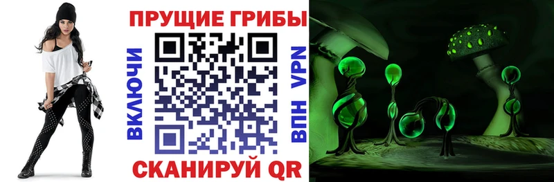 Псилоцибиновые грибы MAGIC MUSHROOMS  Пестово 